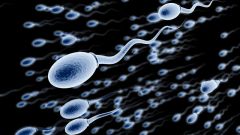 Sperm Semen Health Study Quality Years