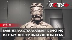 Terracotta Army Army Terracotta China's Shaanxi Emperor Qin Shi Huang Site