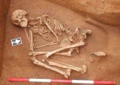 Bronze Age Site Remains Burial Bbc First