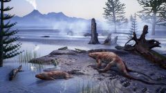 Footprints Ecosystem Statement Researchers Fossils Imprints