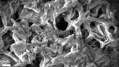 Carbon Material Energy Reactions Reaction Surface