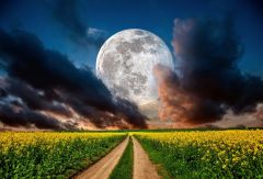 Moon's Moon Years Age Heating Journal Nature