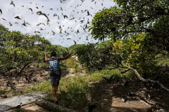 Trees Report Species Biodiversity Areas Years