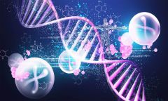 Elements Line Development Transposons Research Dr Zhang