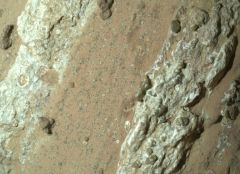Rock Microbes Cheyava Falls Perseverance Earth Sample