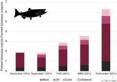 Fish Aquaculture Study Use Industry New York University