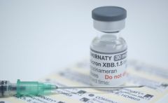 Xbb Vaccine 1 5 Variants 1 Xbb 1 5