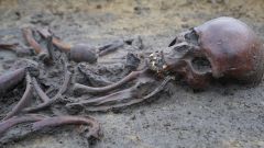 Mr Borre Lundo Skeletons Viking Age Age Remains Archaeologists